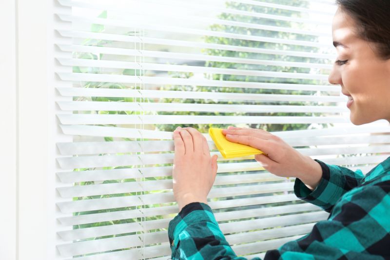 Cellular Blinds Cleaning in Madison, WI