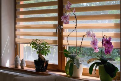 Indoor Shutters Installation in Arvada, CO