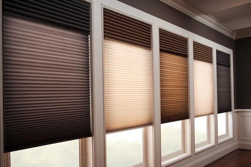 Pleated Shades Installation in Longmont, CO