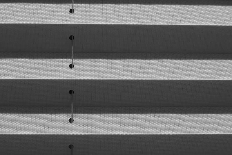 Window Blinds Repair in Longmont, CO