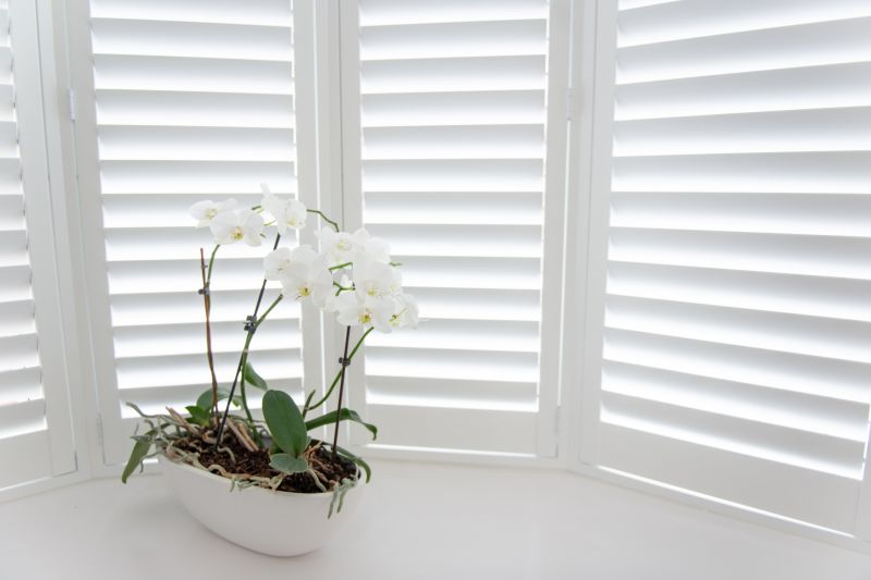Window Shutter Installation in Denver, CO
