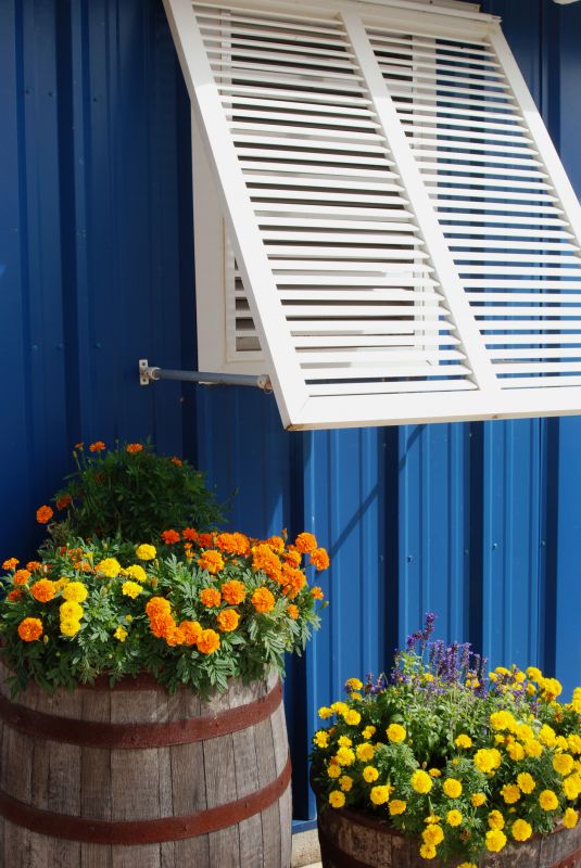 Window Shutters Replacement in Midlothian, VA